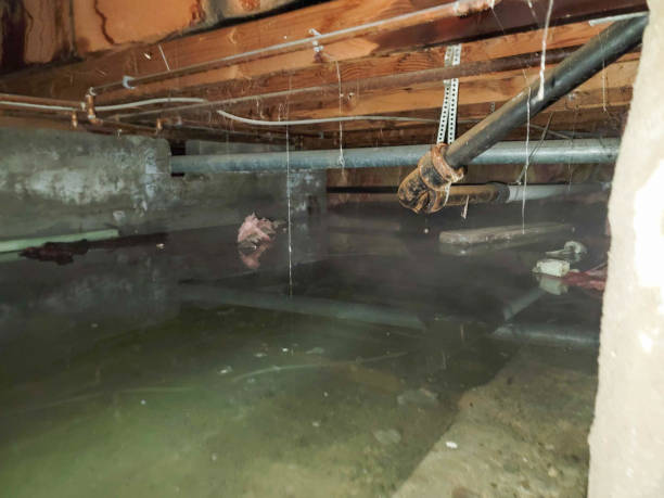 Best Flood damage cleanup  in Glenmoor, OH