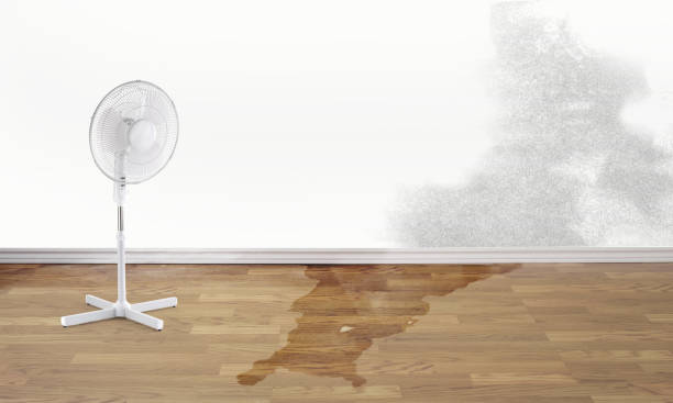 Best Mold removal after water damage  in Glenmoor, OH